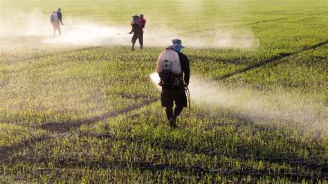 Keadaan topografi juga sangat membatasi pertanian jepang, yang. Konsep Dan Prosedur Bioteknologi Dalam Bidang Agribisnis ...