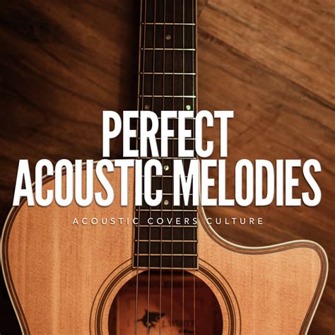 Perfect Acoustic Melodies Album By Acoustic Covers Culture Spotify