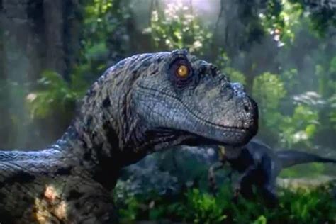 Things ‘jurassic Park Got Wrong About Dinosaurs Movies Entertainment