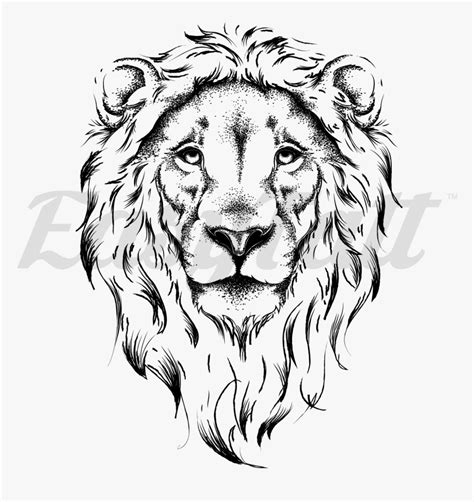 Lion Face Outline Lion Face Drawing Hd Png Download Transparent