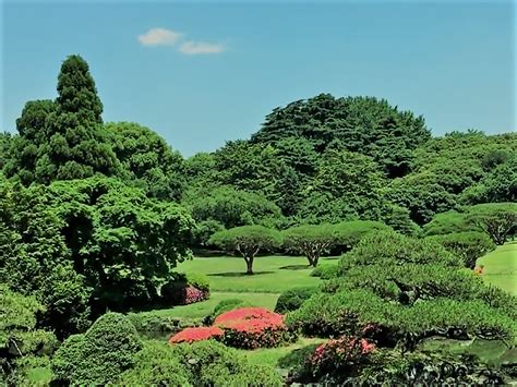 We did not find results for: Botanische Gärten Doku A) Gartendoku, Garten Doku ...