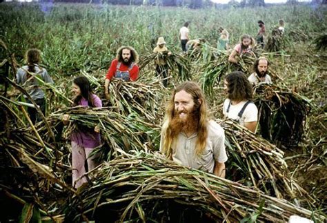 Sueños Idílicos En La Naturaleza Fotos Vintage De Comunas Hippies De