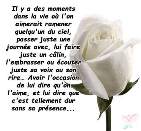 A White Rose With The Words In French