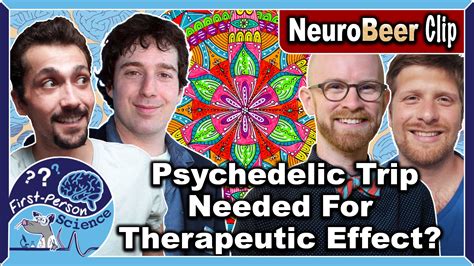 Mdma And Psilocybin Improve Ptsd And Depression Via Similar Brain