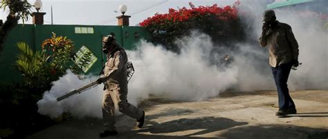 zika in lateinamerika who warnt schwangere vor reisen in zika epidemiegebiete