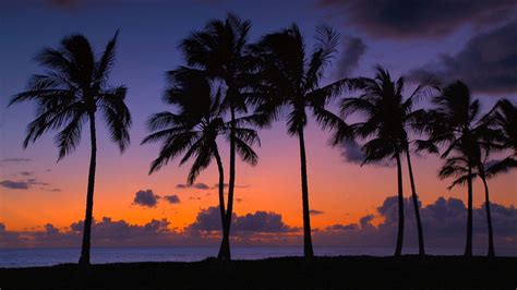 🔥 Free Download Hawaiian Beach Wallpapers 1920x1080 For Your Desktop
