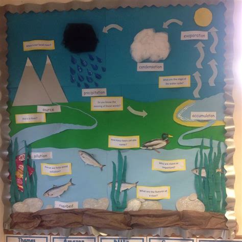 The Water Cycle Display Posters Water Cycle Water Cycle Project
