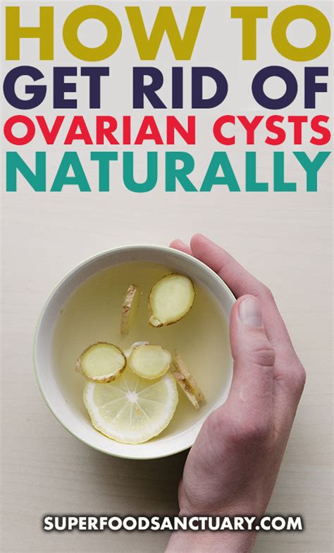 Top 20 Natural Remedies For Ovarian Cysts 2022