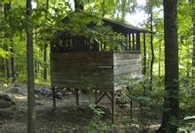 Maybe you would like to learn more about one of these? Best Camping in Maryland | Pet Friendly | Maple Tree ...