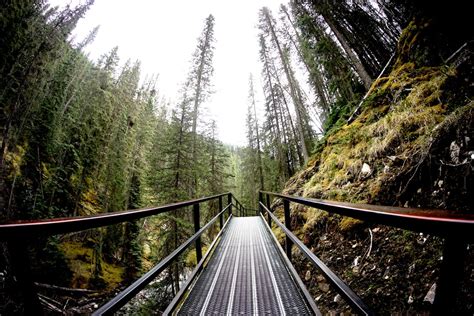 Hours may change under current circumstances Hike at Hemlock Bridge Trail | Hocking Hills Trails ...