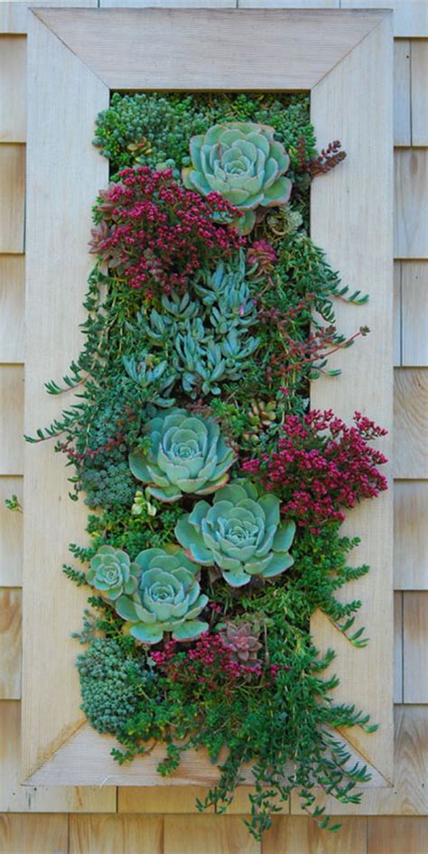 Incredible 15 Succulents Living Walls Vertical Gardens Ideas To