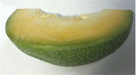 Melon Wedge