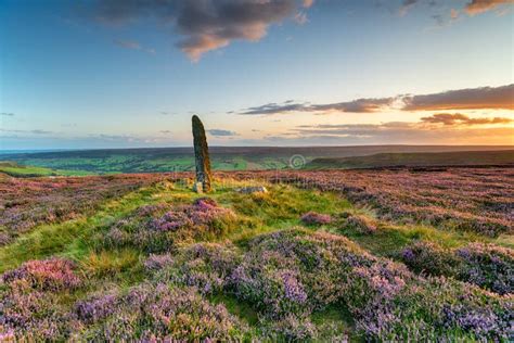 Sunset Over Purple Heather In Bloom At Little Blakey Howe Stock Photo