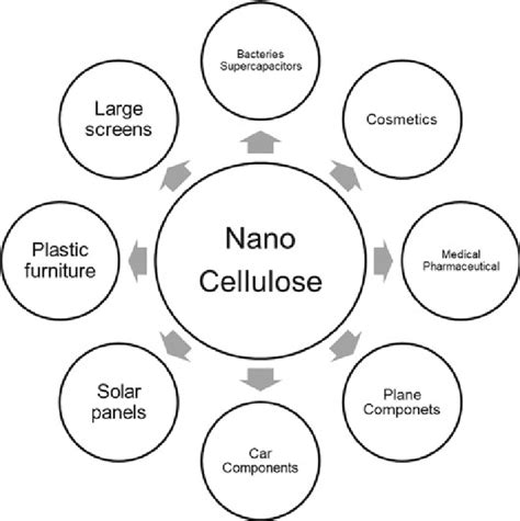 Potential Nanocellulose Applications Download Scientific Diagram