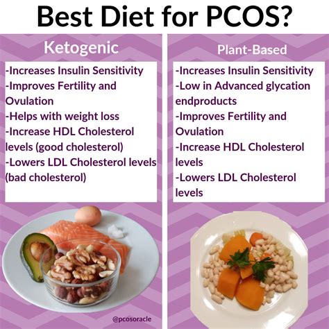 Plant Based Diet For Pcos A Comprehensive Guide