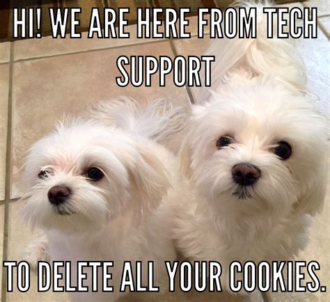 The Best Kind Of Tech Support They Always Come Running For Cookies