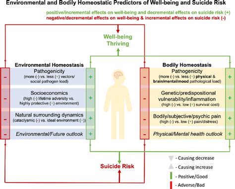 Conceptual Framework For The Role Of Bodily Environmental Homeostasis