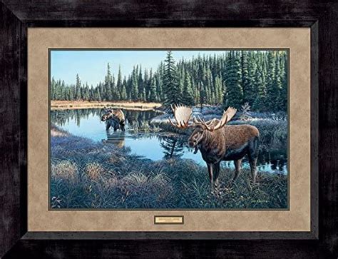 wild wings now showing moose framed limited edition print by jim kasper posters