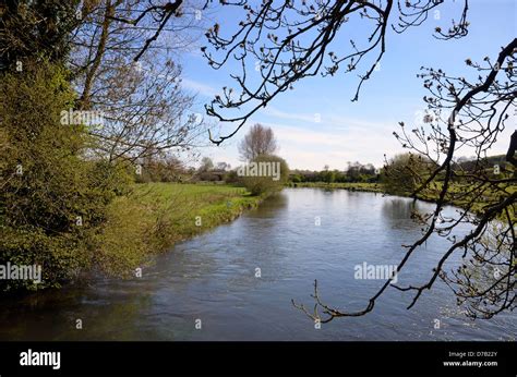 River Itchen Water Meadows Looking South At Hockley South Of