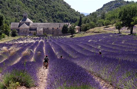 Provence Entdecken Reisetipps Highlights Und Geheimtipps