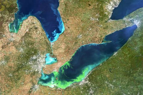 Toxic Algae Blooms Occurring More Often May Be Caught In Climate