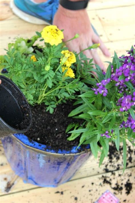Tips And Tricks For The Perfect Container Garden