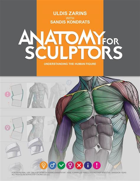 Best Human Anatomy Books For Artists Brushwarriors