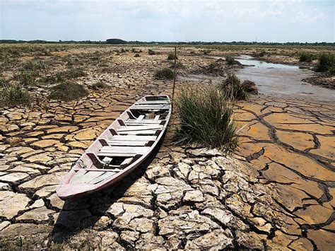 Earth In Crisis Unraveling The Impact Of Drought And Deforestation