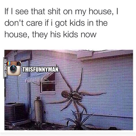 big ass spider 9gag