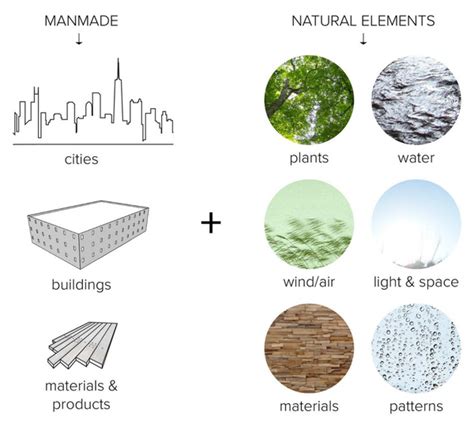 Biophilic Design What It Is And Why It Matters In 2023 Architecture