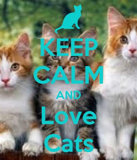 Keep Calm And Love Cats By May May May Cats Cat Quotes Keep Calm