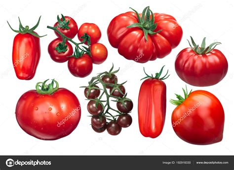 Italian Tomatoes Different Varieties Paths Stock Photo By ©maxsol7