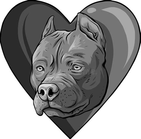 Desenho Do Cão Cabeça Pitbull Na Ilustração Do Vetor Cardíaco