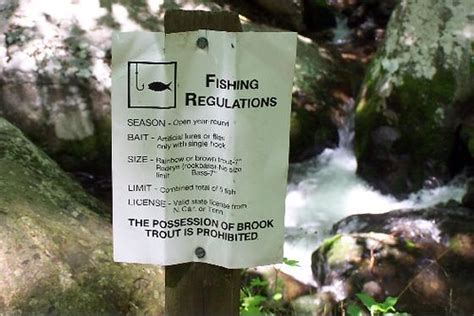 Great Smoky Mountains Fishing Regulations An Astounding Flickr