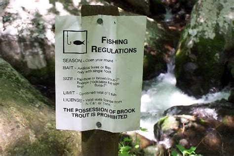 How do you purchase a fishing license? Great Smoky Mountains Fishing Regulations | Flickr - Photo Sharing!
