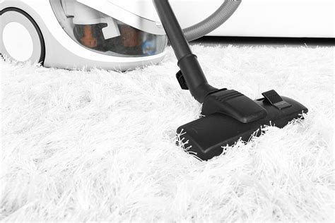 Hallo, ich bin gregor und habe diese seite zusammengestellt. Should I Clean My Carpets Before or After the Holidays ...