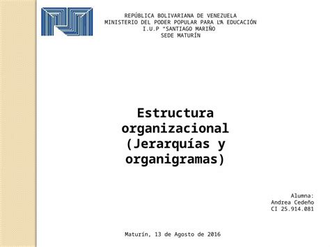 Estructura Organizacional Jerarquías Y Organigramas Download Pptx Powerpoint