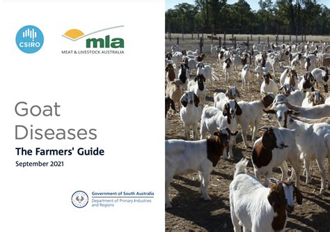 Goat Diseases The Farmers Guide N And W Livestock