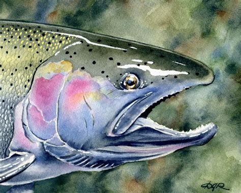 Fly Fishing Steelhead Trout Watercolor 11 X 14 Art Print By Artist