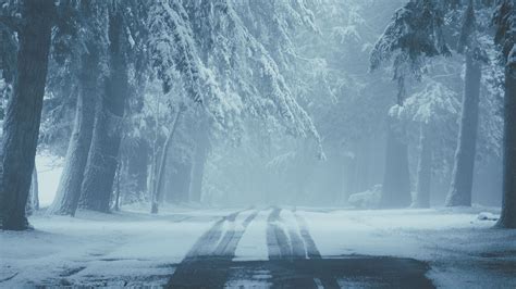 Download Wallpaper 2560x1440 Road Snow Fog Winter Trees Traces