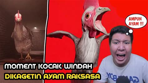 Moment Kocak Windah Dikagetin Ayam Raksasa Sampe Teriak Youtube