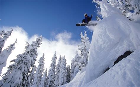 Snowboarding Full Hd Wallpaper And Background Image 1920x1200 Id384436