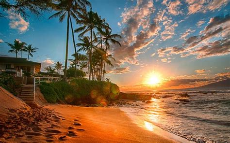 Hawaii Exotic Wallpaper Hd Sea Sand Beach Palms Green Sky With White