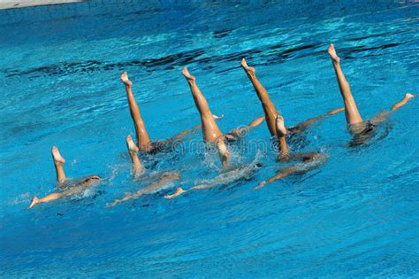 Synchronized Swimming Synchronized Swimmers Legs Point Up Out Of The