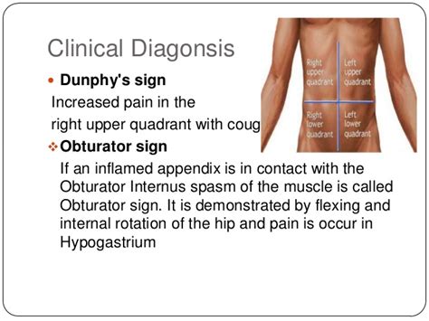 Appendicitis occurs when the appendix becomes inflamed and filled with pus. Appendicitis