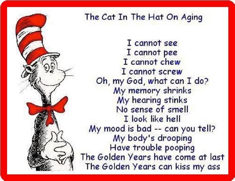 The Cat In The Hat On Aging Refrigerator Magnet Ebay Funny 50th