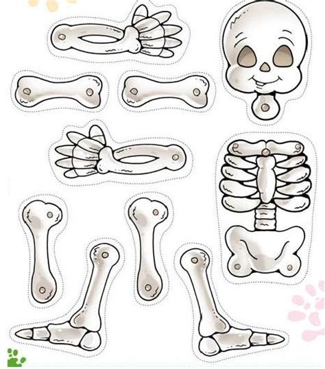 Esqueletos Para Imprimir Y Armar Imagui