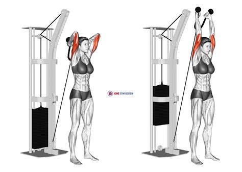 Cable Triceps Pushdown V Bar Female Home Gym Review