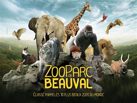 Les résultats des analyses hormonales sont. Votre entrée ZOO de Beauval au meilleur tarif - Le blog AE