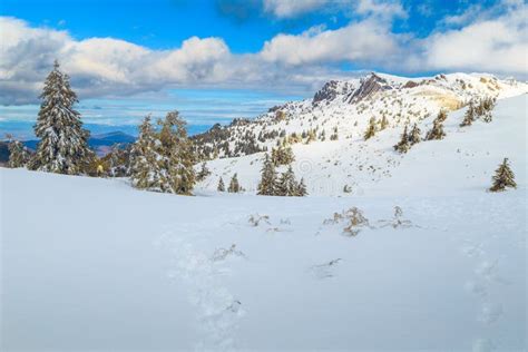 Stunning Winter Landscape With Snowy Mountains Ciucas Transylvania